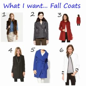 What I Want – Fall Coats