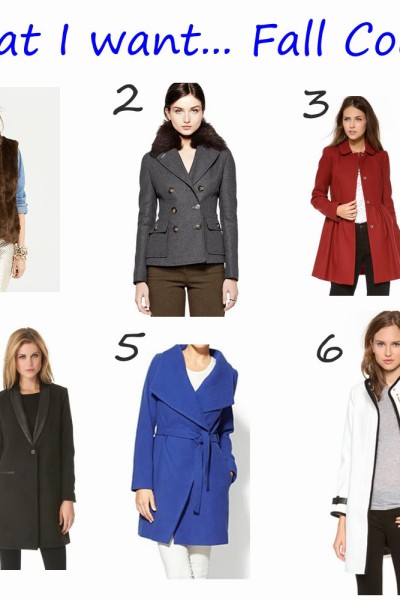 What I Want – Fall Coats
